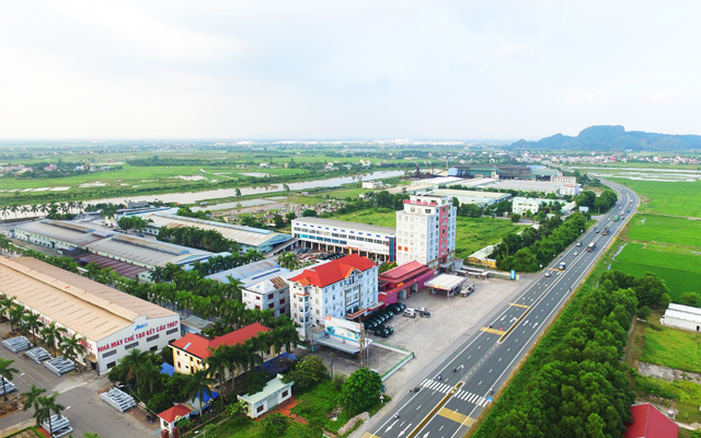 Banner Hoa Mai 04