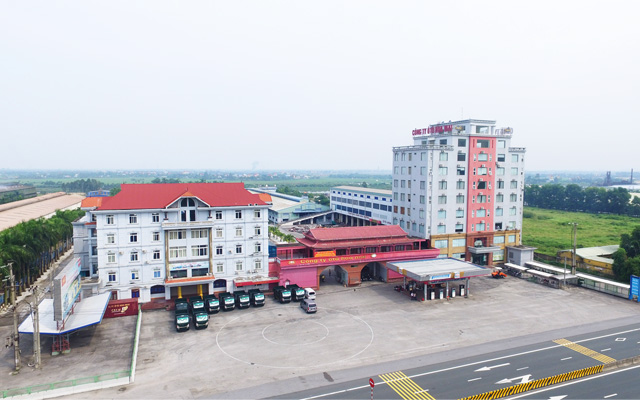 Banner Hoa Mai 03